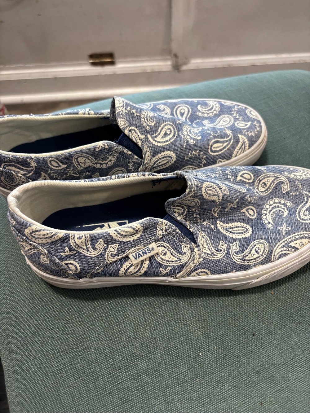 Vans Blue Paisley Slip-On Shoes